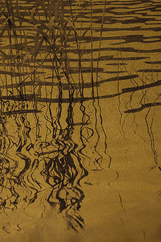 exhibitions_orisaku_03